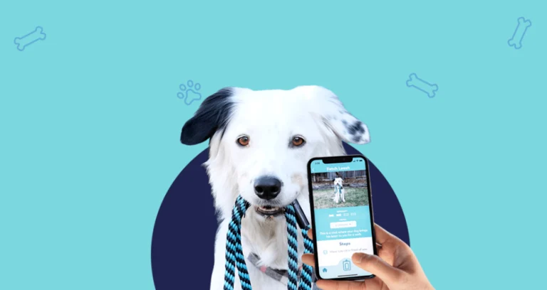 10 Best Apps for Dog Owners 2022