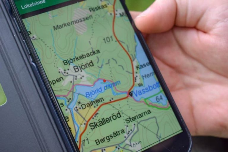 Best Hiking Apps You Need to Know